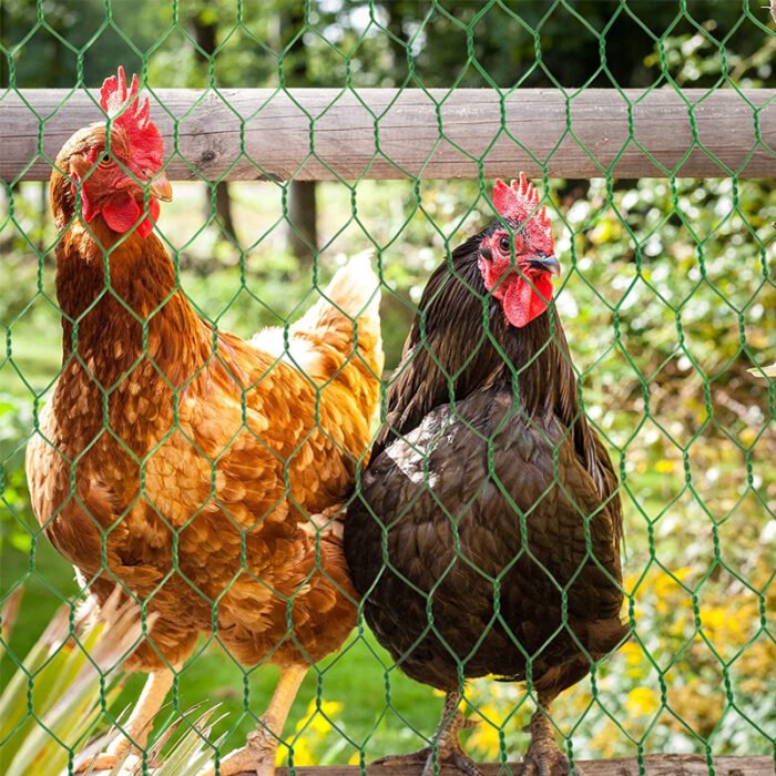 Chicken Wire Fence for Animal Enclosures and Farms