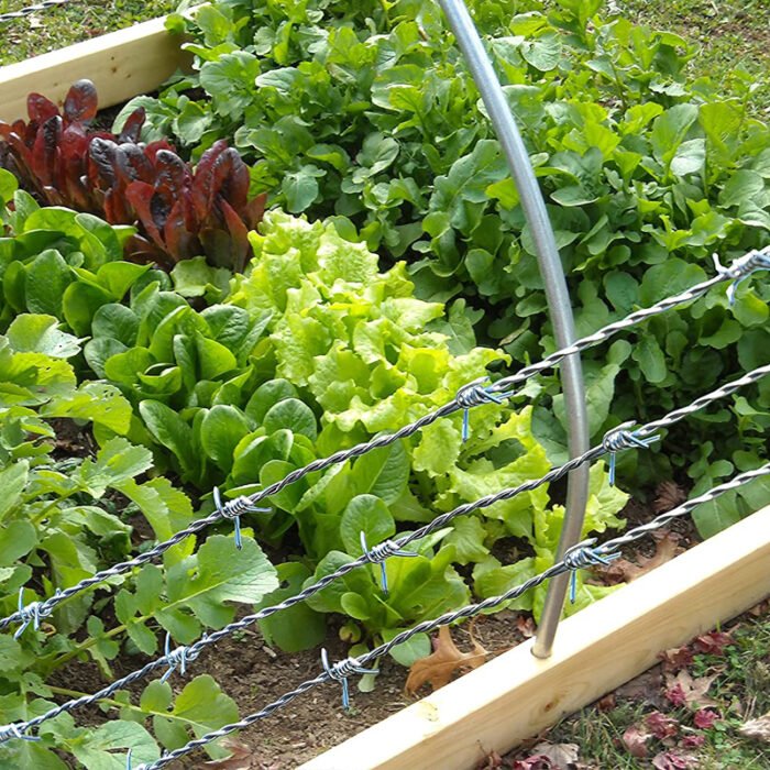 Chain Link Fencing Barbed Wire Fence Durable and Long-Lasting