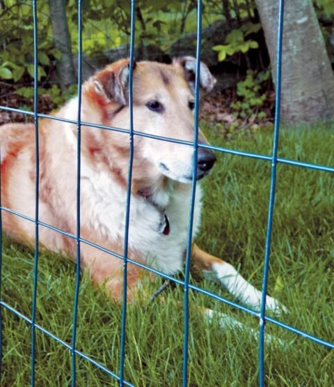 71O757y+uJL._AC_SL1200_