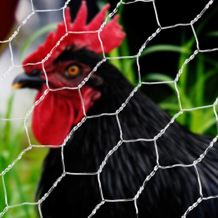 6 Foot Chicken Wire to Build Safe Chicken and Rabbit Enclosures