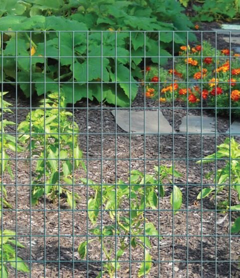 810zJHMp+CL._AC_SL1200_