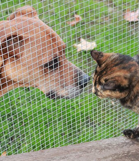 Welded wire mesh 01 (17)