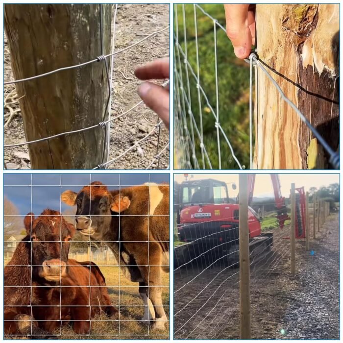 Cattle Wire Fencing for Farms and Livestock Projects